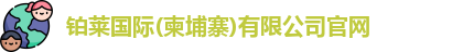 铂莱国际
